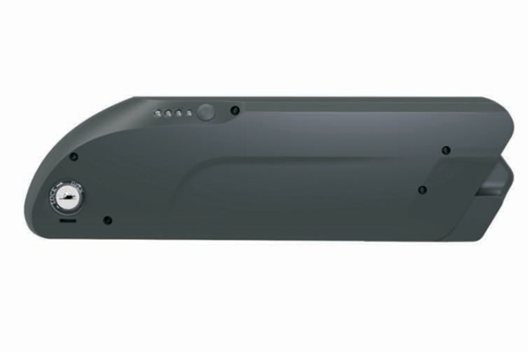 DS battery
