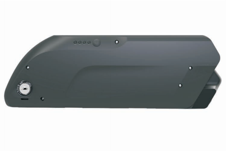 DS battery